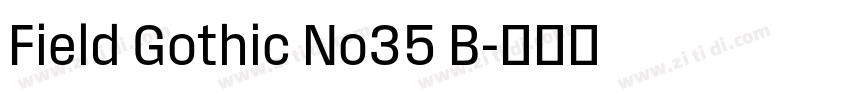 Field Gothic No35 B字体转换
